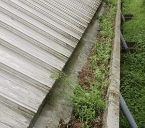 Happy customers in Rickmansworth who trust The Roof Moss Cleaners for gutter cleaning services